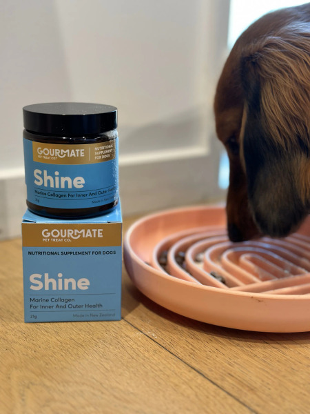 Gourmate 海洋閃毛粉 21g