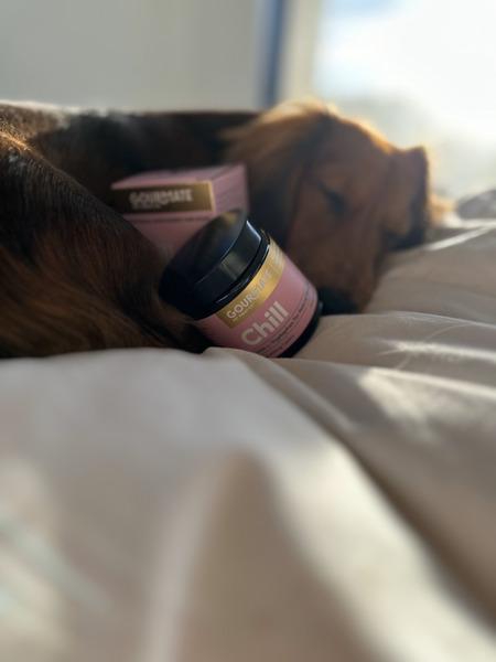 Gourmate 乖乖錠 120顆裝