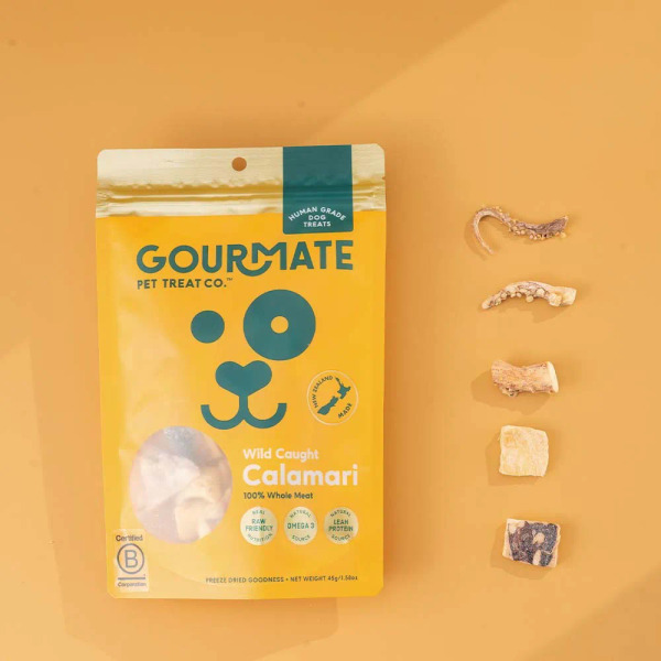 Gourmate 深海魷魚凍乾 45g