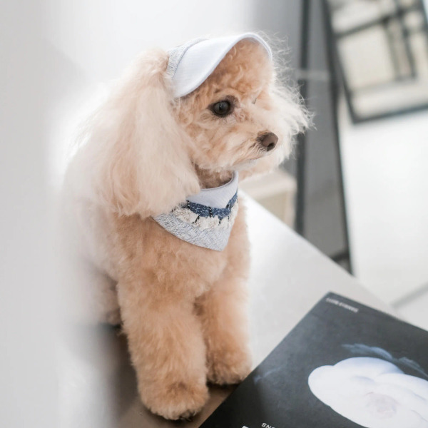 PuriPuri 寵物領巾 蘇打雪花冰