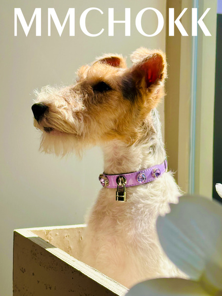 MMCHOKK 水晶項圈 Bling Collar