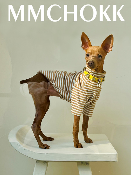 MMCHOKK 水晶項圈 Bling Collar