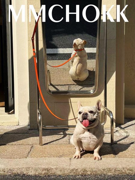 MMCHOKK 水晶項圈 Bling Collar