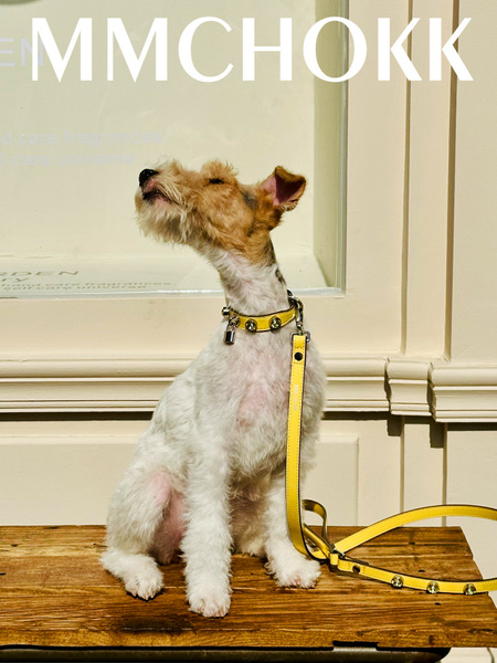 MMCHOKK 水晶項圈 Bling Collar