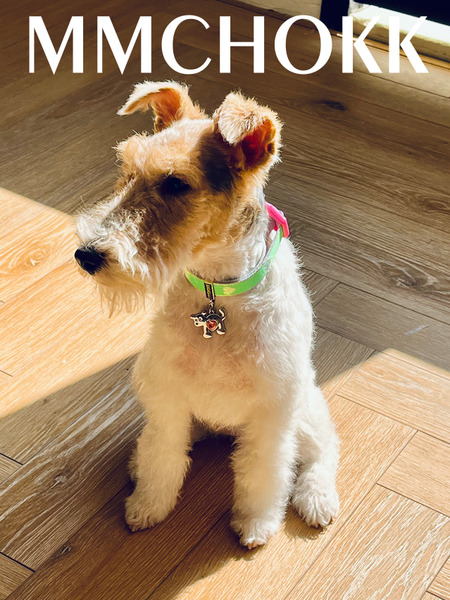 MMCHOKK x CILINPARK聯名禮盒系列