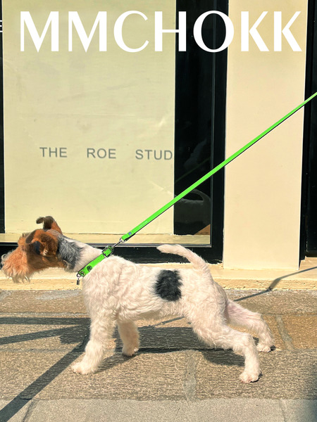 MMCHOKK 水晶牽繩 Bling Leash