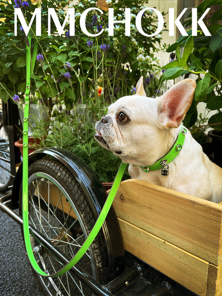 MMCHOKK 水晶牽繩 Bling Leash