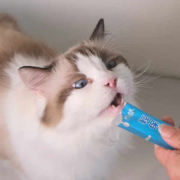 【輕保養肉泥】純雞肉口味｜腸胃應援