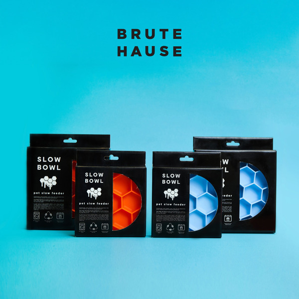 泰國 BRUTE HAUSE 犬用慢食盤 蜂巢款