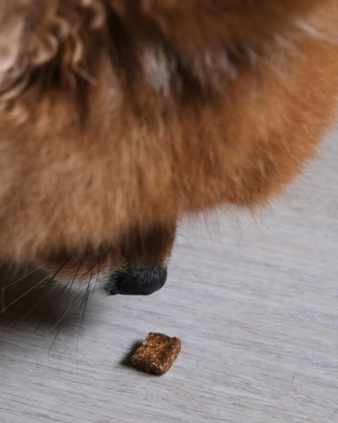 CoConilla 口口迷寵物鮮食 訓練零食 雞肉雞肝口味