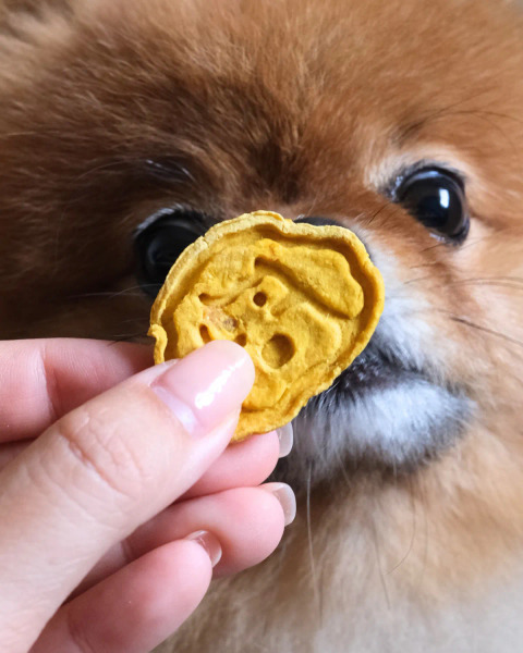 CoConilla 口口迷寵物鮮食 交友零食 南瓜火雞