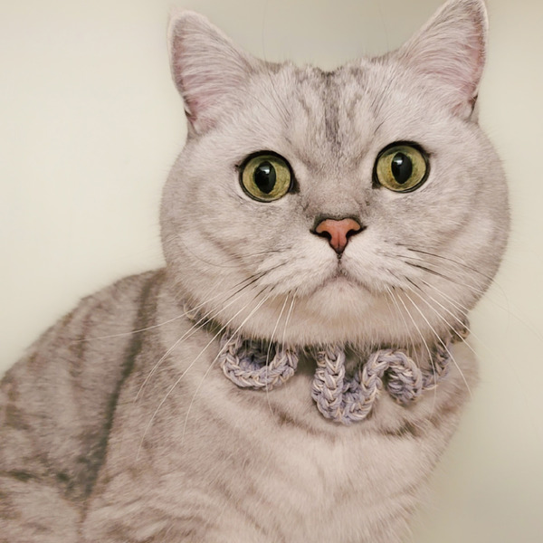 Qbabyxi pet 打摺雙色領巾