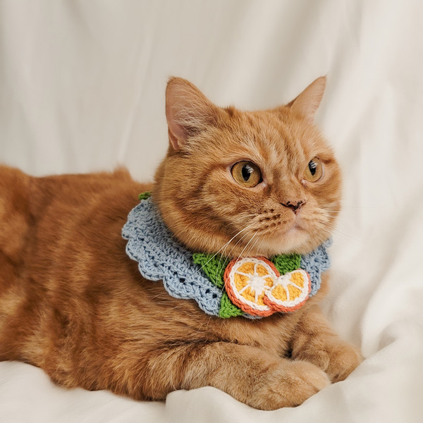 Qbabyxi pet 柑橘領巾