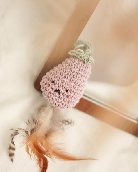 Qbabyxi pet 編織羽毛逗貓棒