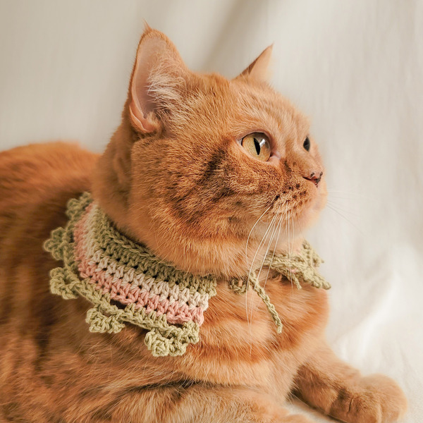 Qbabyxi pet 花邊領巾