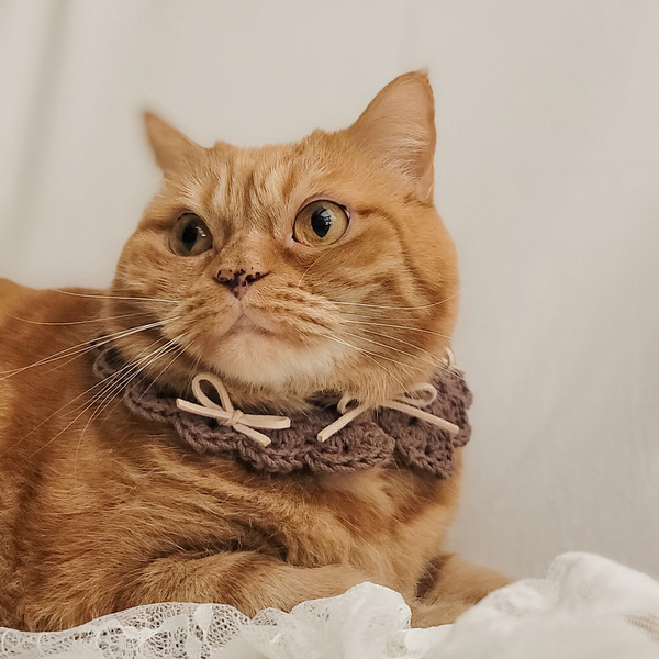 Qbabyxi pet 芭蕾領巾