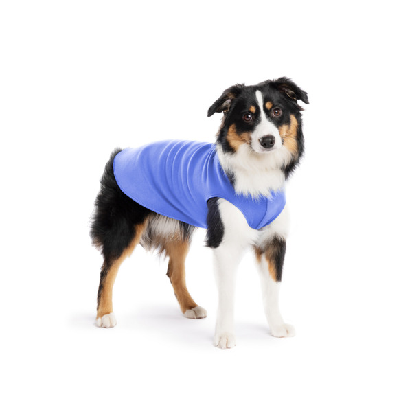 Gold Paw 單層彈性刷毛背心 積木藍