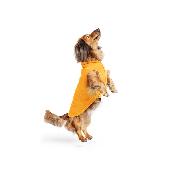 Gold Paw 單層彈性刷毛背心 巧達起司