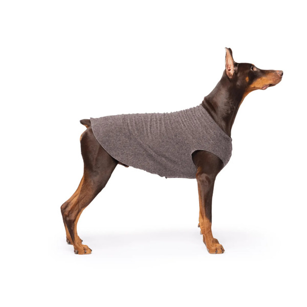 Gold Paw 單層彈性刷毛背心 隕石深灰