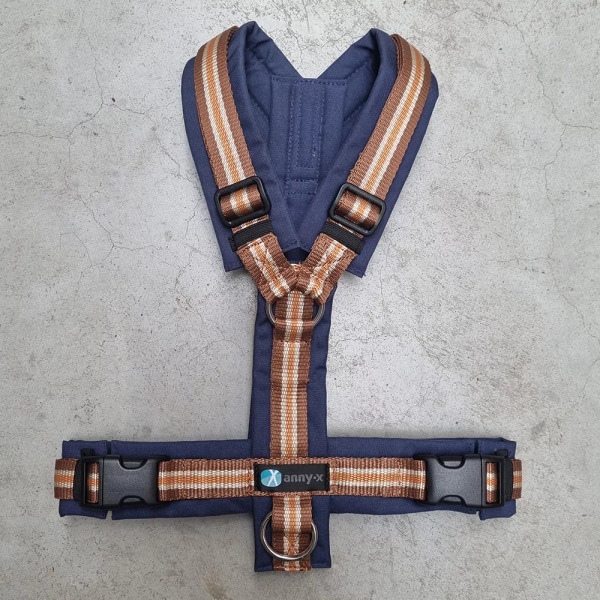 Anny.X 樂趣胸背帶 (限量色)