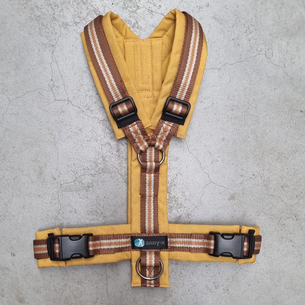Anny.X 樂趣胸背帶 (限量色)