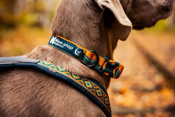 Non-stop TRAIL 探索項圈 Rachel Pohl 設計款