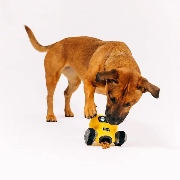 P.L.A.Y. 星際藝工 機器漫遊者