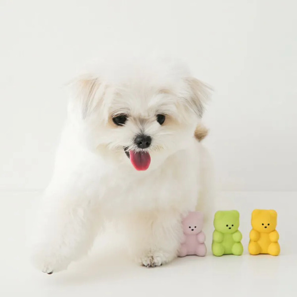 BITE ME QQ小熊(3入組) 乳膠玩具