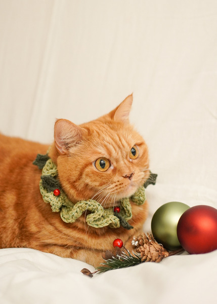 Qbabyxi pet 聖誕花圈