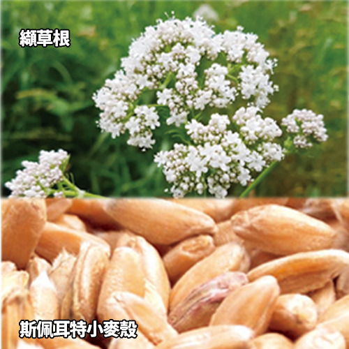 Aumüller 奧咪樂 德國貓草玩具 粉紅小海星