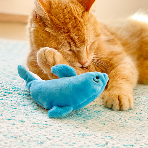 Aumüller 奧咪樂 德國貓草玩具 藍色小海豚
