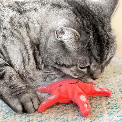 Aumüller 奧咪樂 德國貓草玩具 粉紅小海星