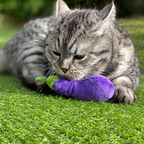 Aumüller 奧咪樂 德國貓草玩具 微笑快樂茄