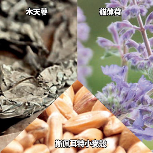 Aumüller 奧咪樂 德國貓草玩具 綠毛蟲君