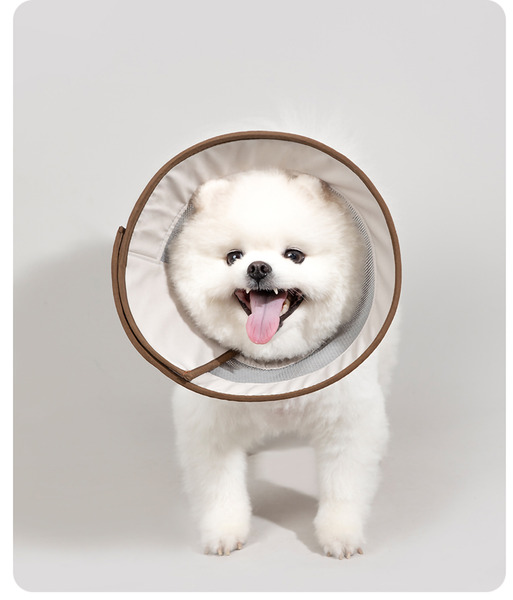 HiDREAM 網格伊莉莎白頸圈 (兩色)