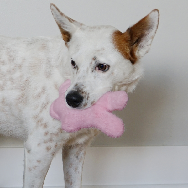 KONG Snuzzles 小星星系列 兔兔 S