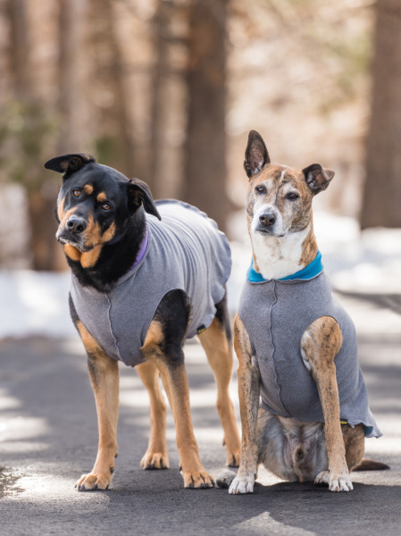 Gold Paw 雙層彈性刷毛背心 隕石灰/海洋藍