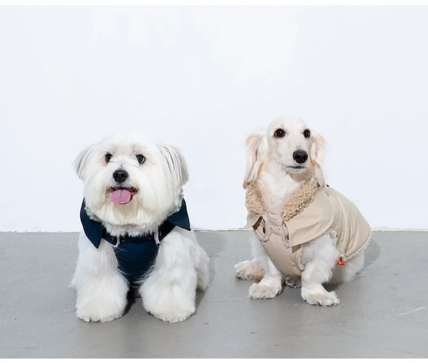 Puppy Gallery 愛心小高領風衣外套