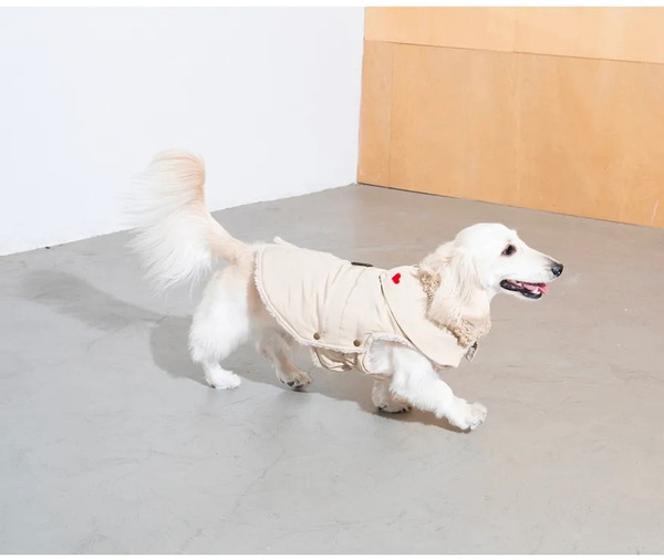 Puppy Gallery 愛心小高領風衣外套