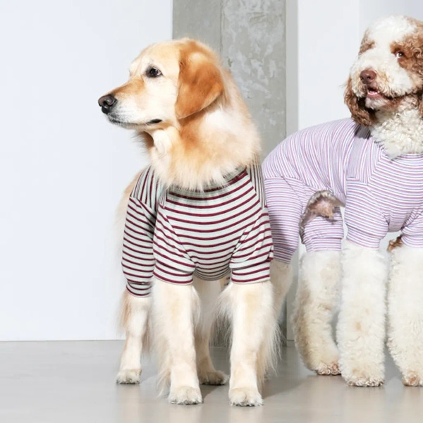 Puppy Gallery Jam Jam 條紋四腳衣