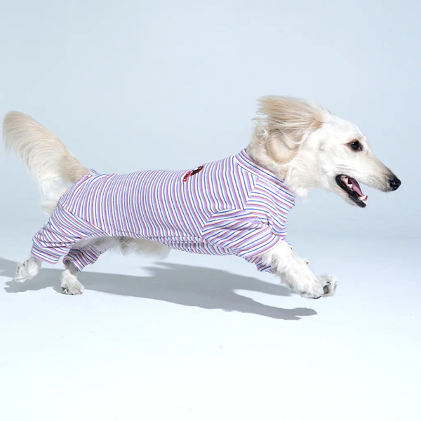 Puppy Gallery Jam Jam 條紋四腳衣