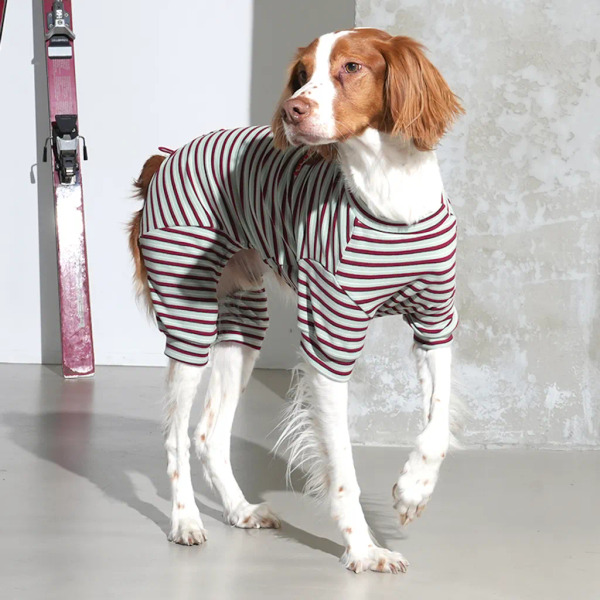 Puppy Gallery Jam Jam 條紋四腳衣