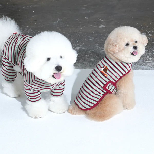 Puppy Gallery Jam Jam 條紋披風