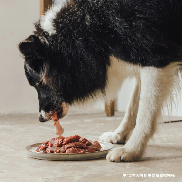 TrueRaw初肉 犬用原型生食主餐｜肉來我就初 垂涎嫩豬