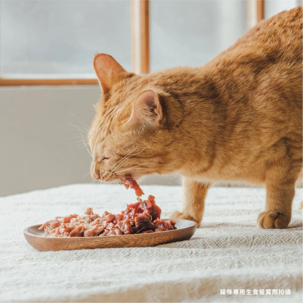 TrueRaw初肉 貓用原型生食主餐｜肉來我就初 奔跑鹿兒