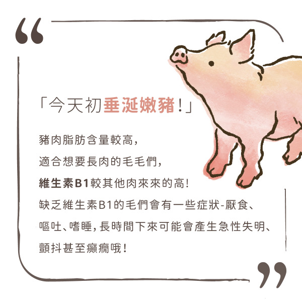 TrueRaw初肉 貓用原型生食主餐｜肉來我就初 垂涎嫩豬