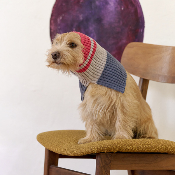 munikund Alle 保暖針織圍脖