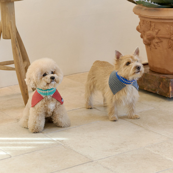 munikund Alle 保暖針織圍脖