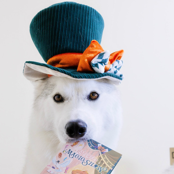 Bailey 魔術師系列