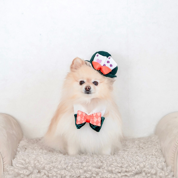 Bailey 魔術師系列